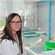 clases particulares de matemáticas, biología, física y química